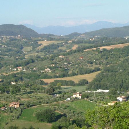 Agriturismo Poggio Della Rosa Амелія Екстер'єр фото
